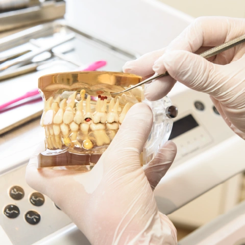 [写真]何でも相談できる、安心して通える、幅広い診療 3