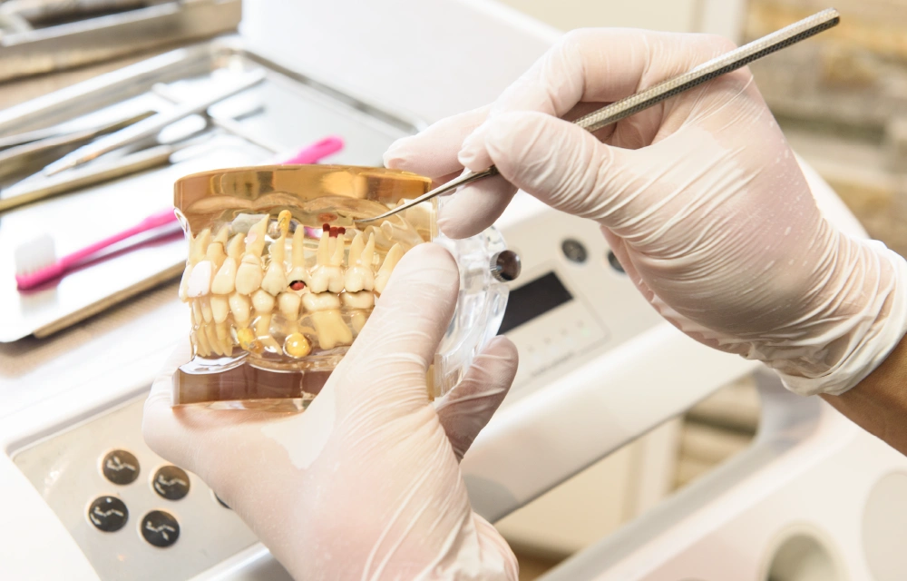 [写真]口腔外科